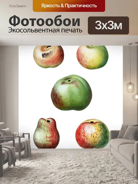 Фотообои Фрукты Яблоки Винтаж Клипарт