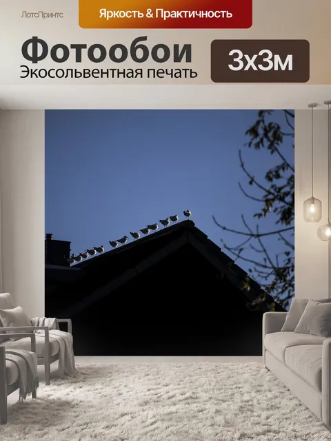 Фотообои Чайки