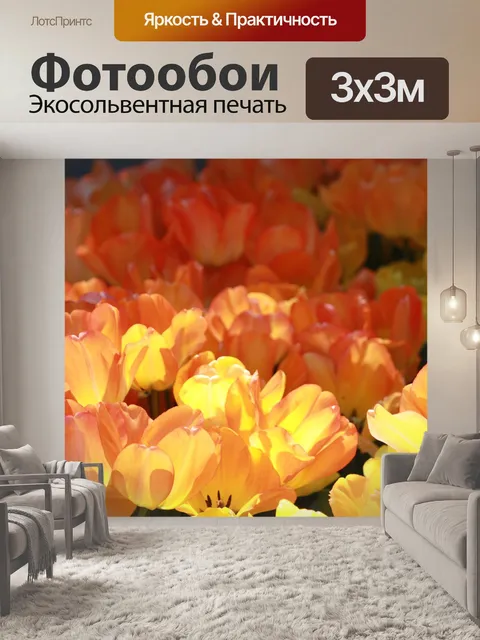 Фотообои Оранжевые тюльпаны