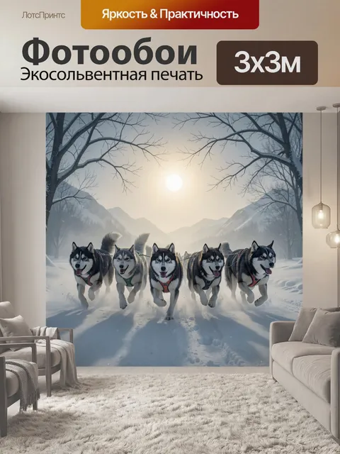 Фотообои Хаски бегут по снежной тропе