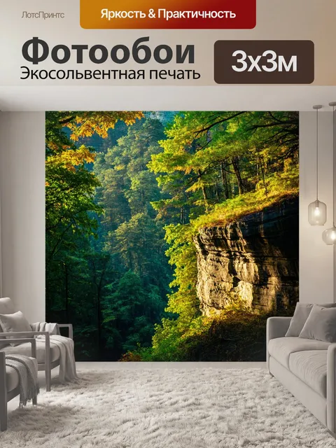 Фотообои крутой обрыв с видом на переливы света на листве