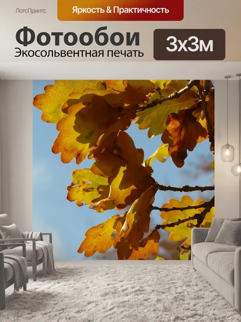 Фотообои Дубовые листья