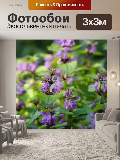 Фотообои Солнечный