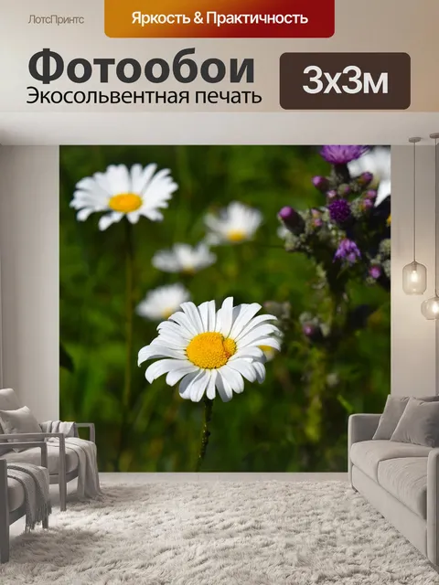 Фотообои Ромашка