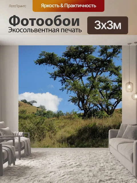 Фотообои Торн дерево и пастбище в Драконовых
