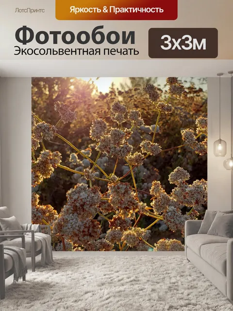 Фотообои Цветы гречихи