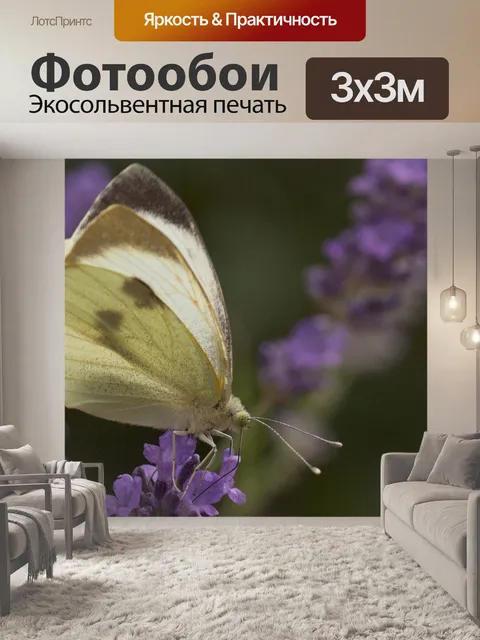 Фотообои Белый
