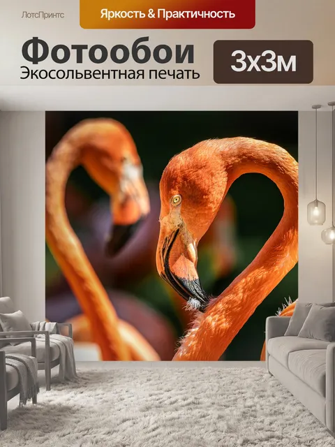 Фотообои Фламинго