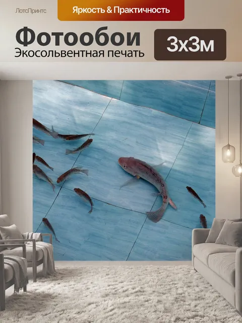 Фотообои Тилапии
