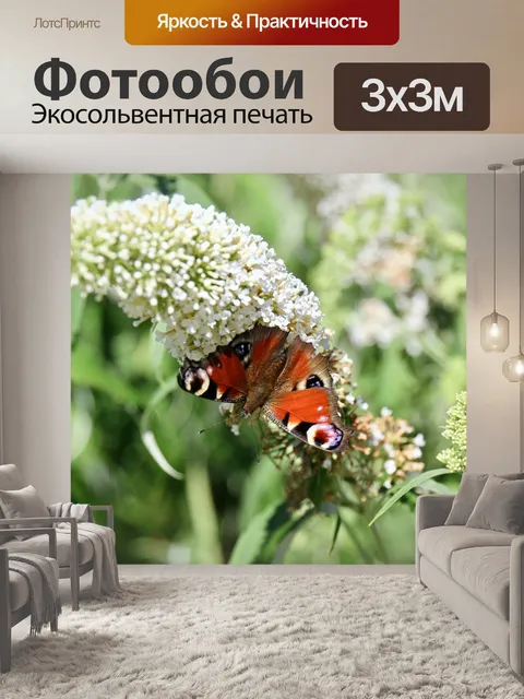 Фотообои Бабочка