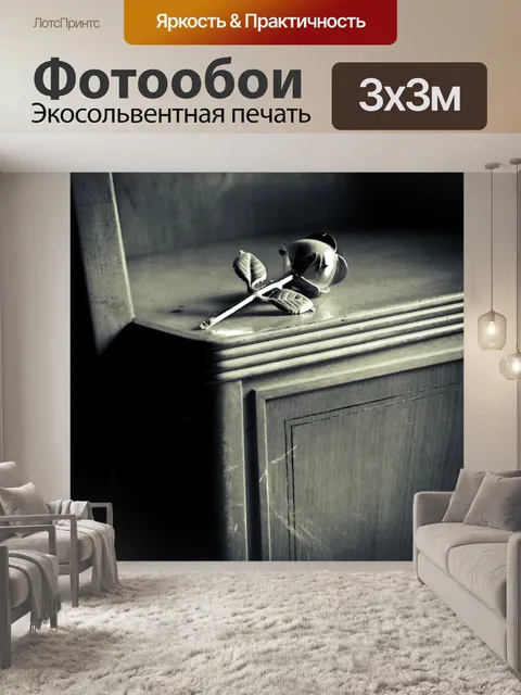 Фотообои Поднялся на шкаф