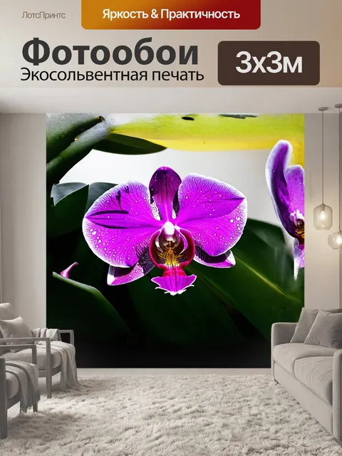 Фотообои огляд на орхидею: фиолетовые и розовые лепестки, стильно окруженные листвой тропического садика