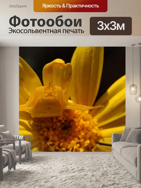 Фотообои желтый цветок краб паук