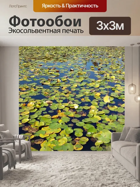 Фотообои Пруд
