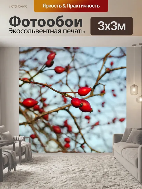 Фотообои Плоды шиповника