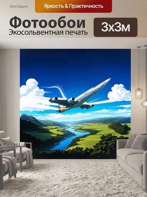 Фотообои величественный самолет