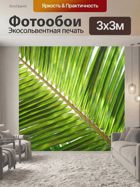 Фотообои Кокосовый лист