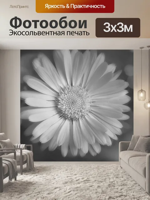 Фотообои Блум цветок черный белый