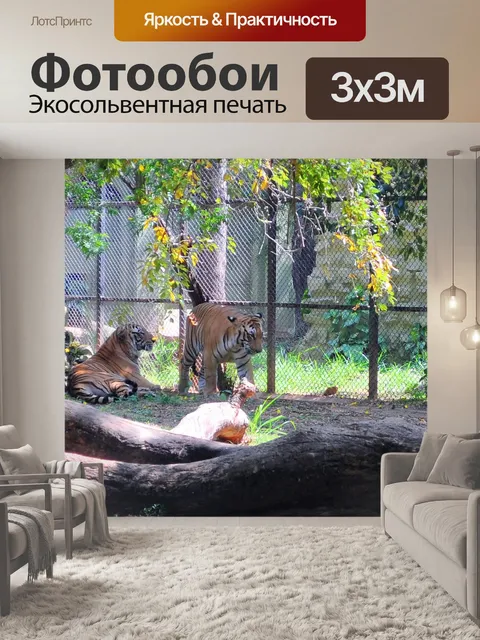 Фотообои Большие кошки