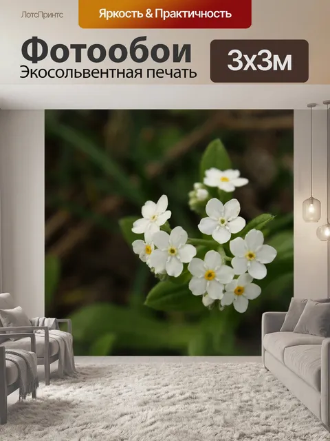 Фотообои Цветок