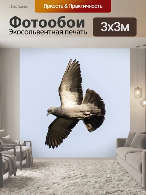 Фотообои Птица
