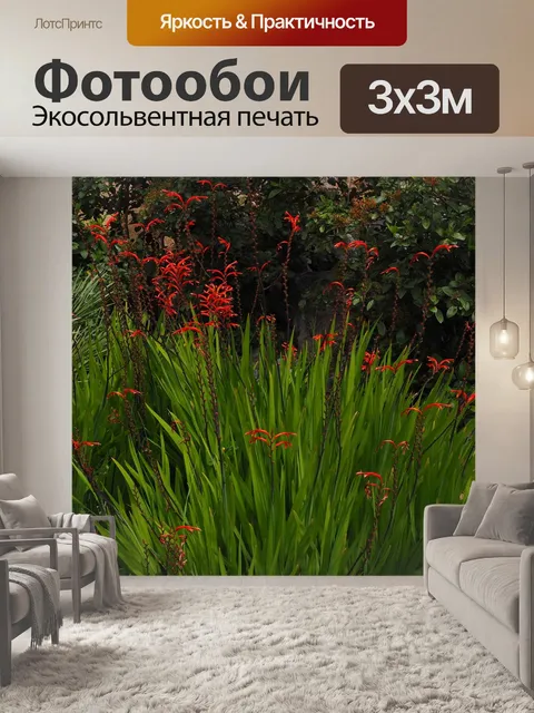 Фотообои Chasmanthe