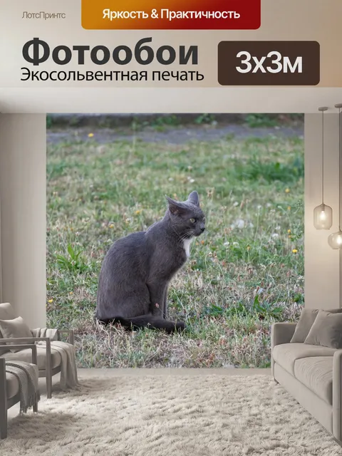 Фотообои Серая майка на сиденье