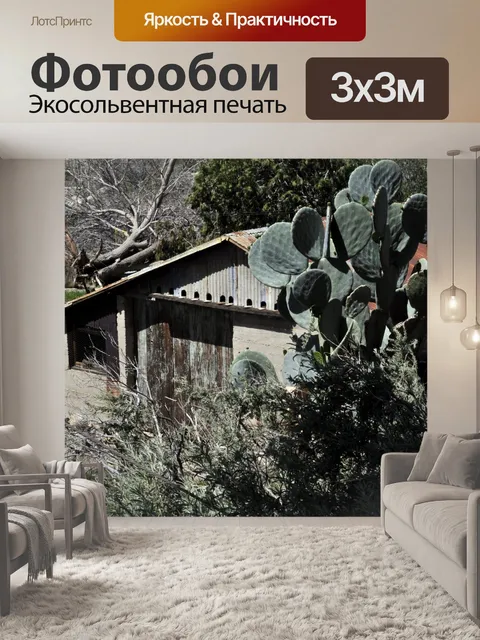 Фотообои Пустынный дом