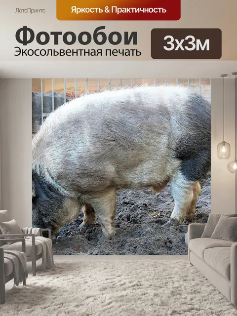 Фотообои Дикий кабан