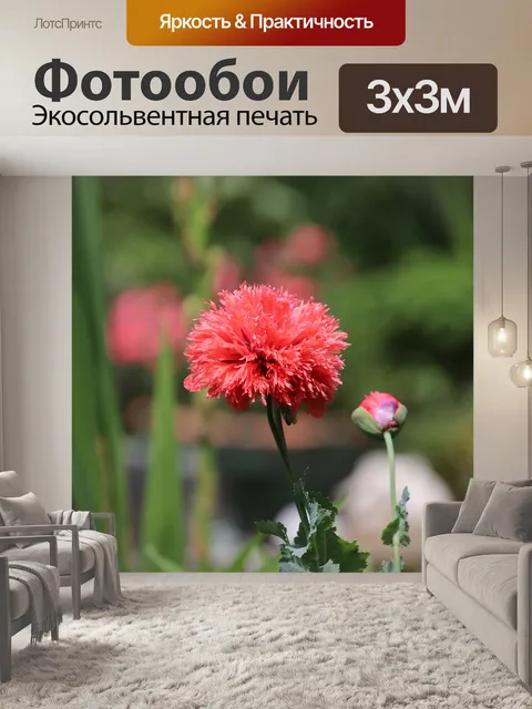 Фотообои Мака