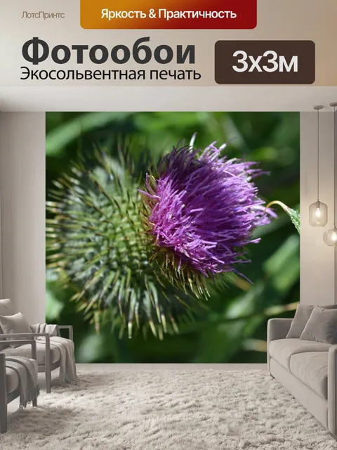 Фотообои Фиолетовый