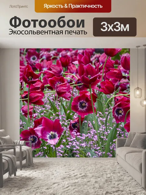 Фотообои Tulipa Greigii