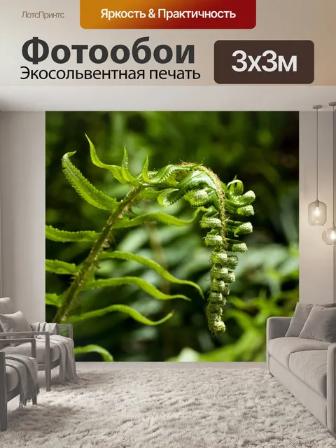 Фотообои Папоротник