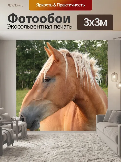 Фотообои Коричневый лошадь на пастбище