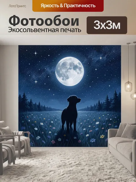 Фотообои Чёрный кот на лунном поле