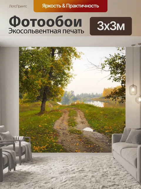 Фотообои Путь в лесу
