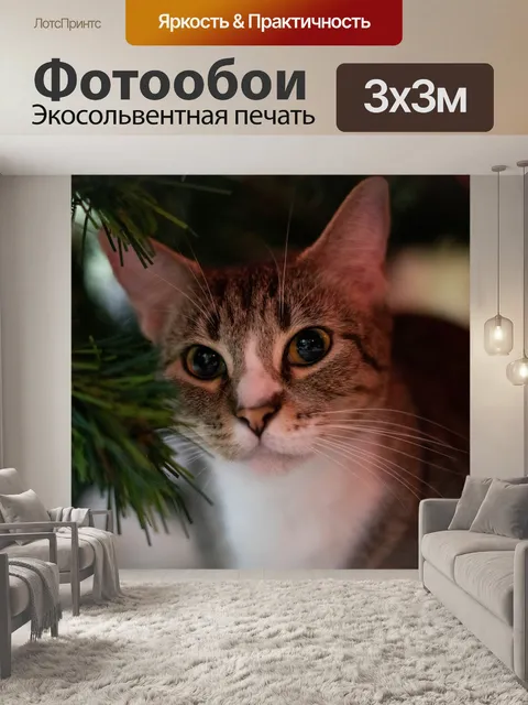 Фотообои Кошка