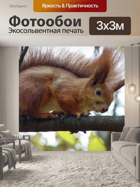 Фотообои Животные