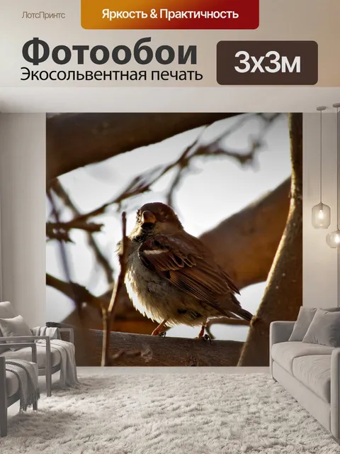 Фотообои Птицы