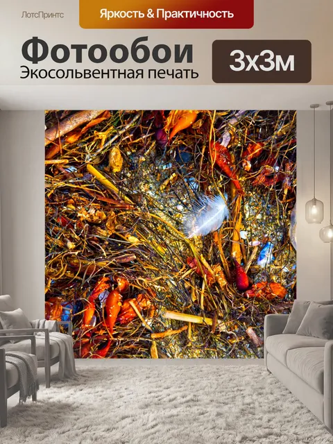 Фотообои Аннотация в Orange Sealife