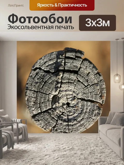 Фотообои Ствол