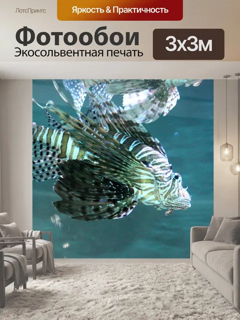 Фотообои Соленая вода Тропические рыбы