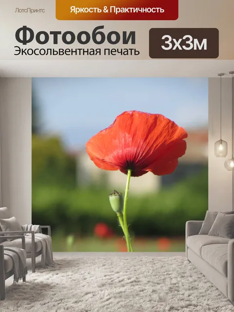 Фотообои Мак не глядя