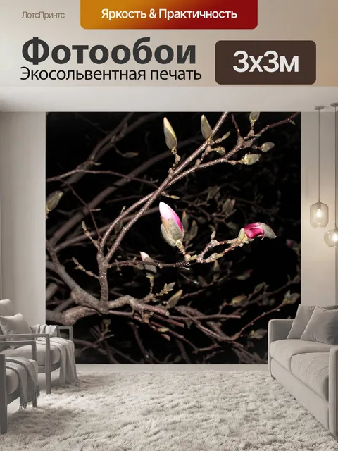 Фотообои Маленькая Почки