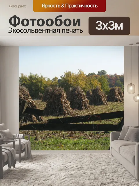 Фотообои Амишей сено stack