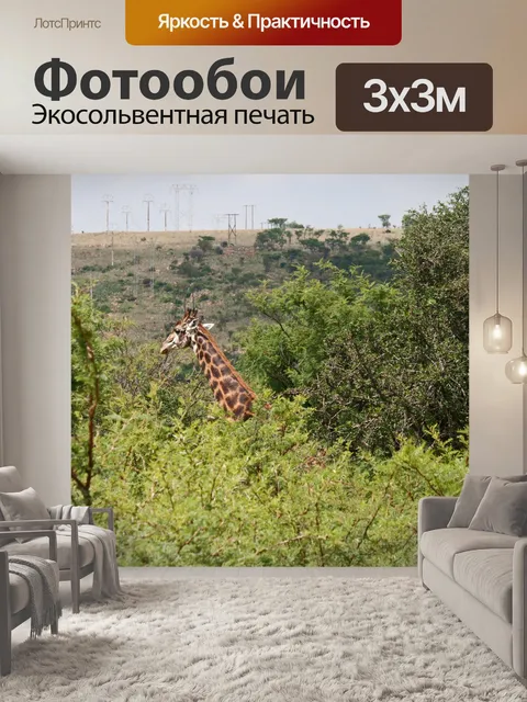 Фотообои голова и шея высокого темного жирафа