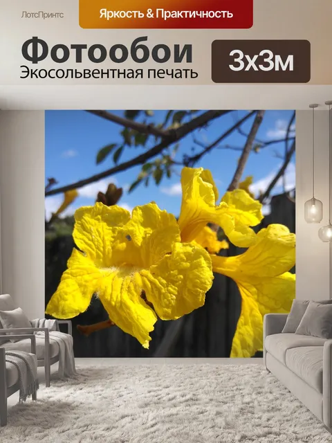Фотообои Желтый
