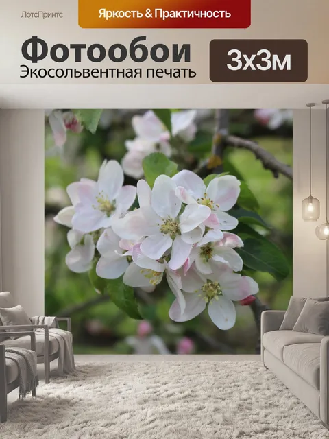 Фотообои Яблоневый цвет