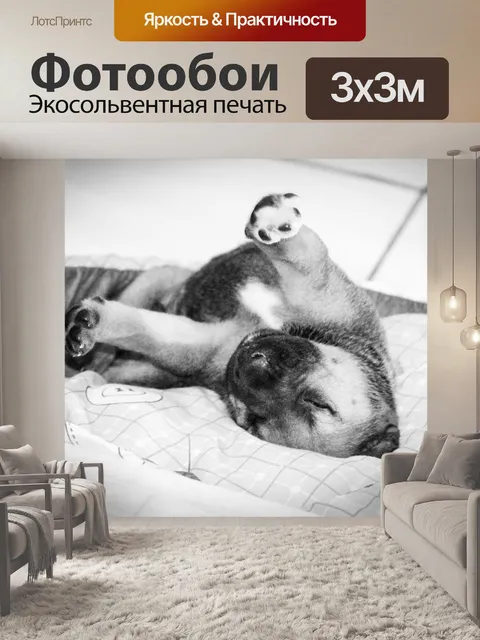 Фотообои Щенок