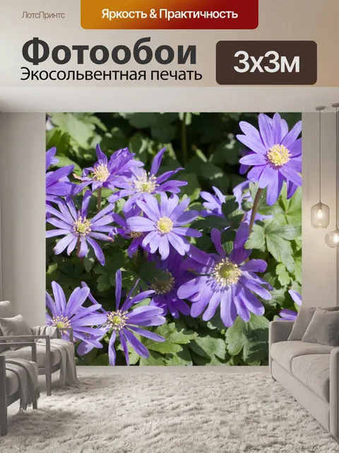 Фотообои Синий фон с цветами